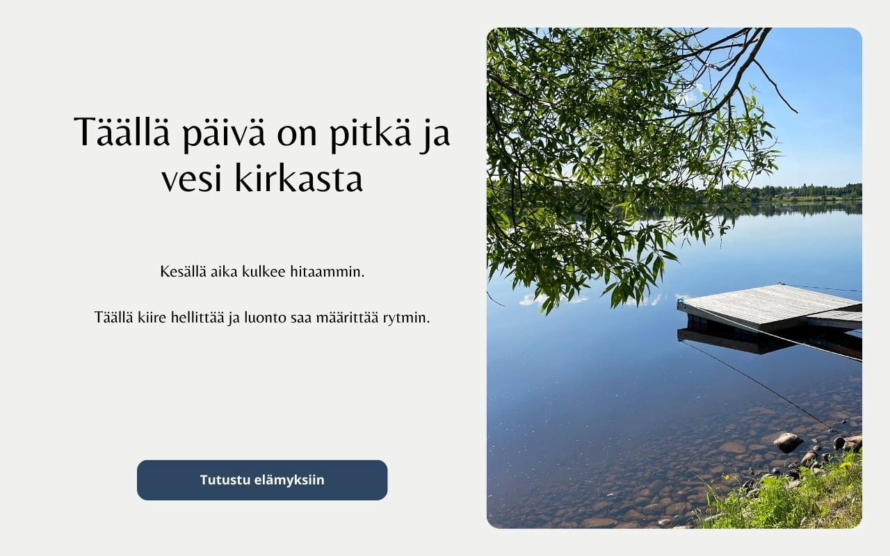 Studio Yliniemi, verkkosivut yrityksellesi.