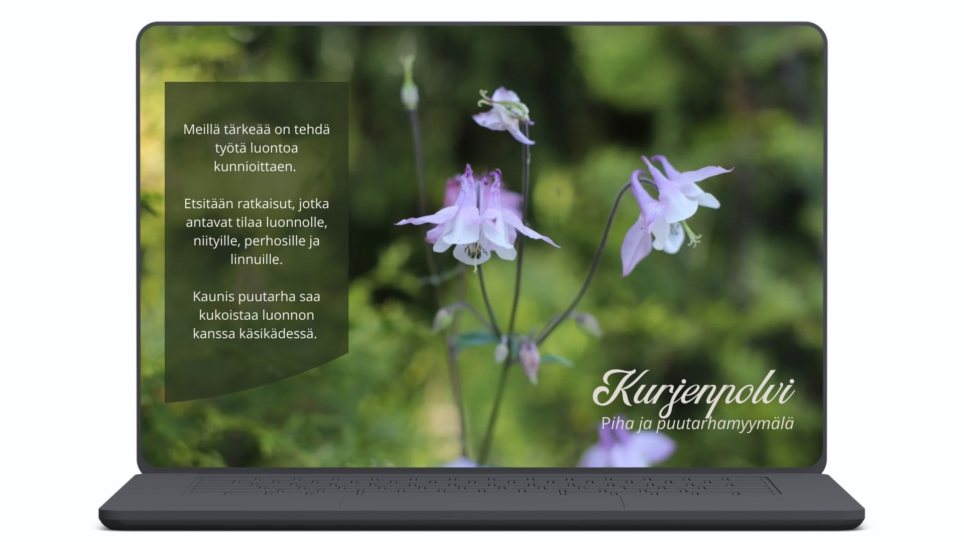 Studio-yliniemi-projekti-arvot-valkoinen Studio Yliniemi esimerkki projekti.