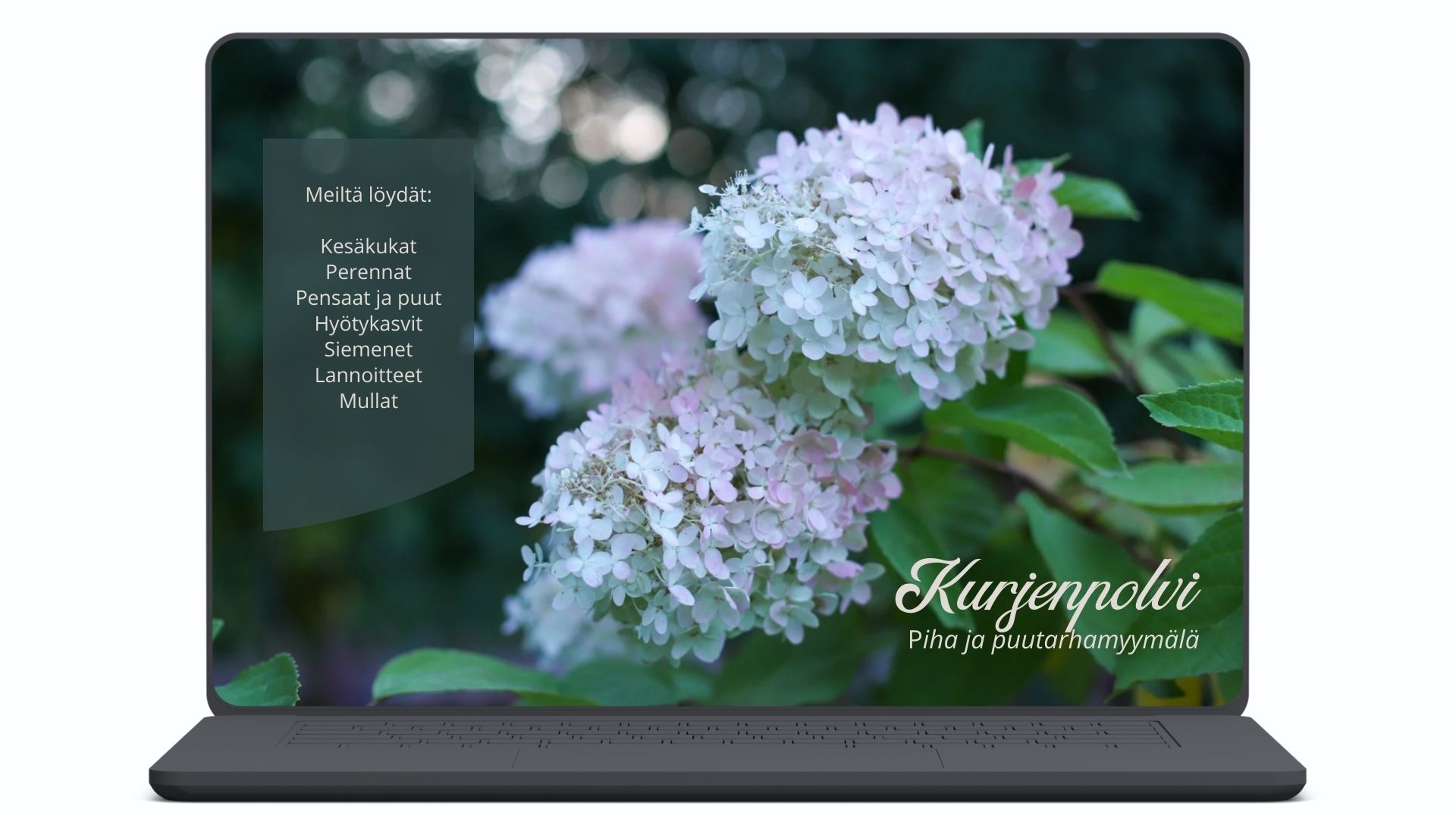 Studio-yliniemi-projekti-palvelut-valkoinen Studio Yliniemi esimerkki projekti puutarhamyymälä.