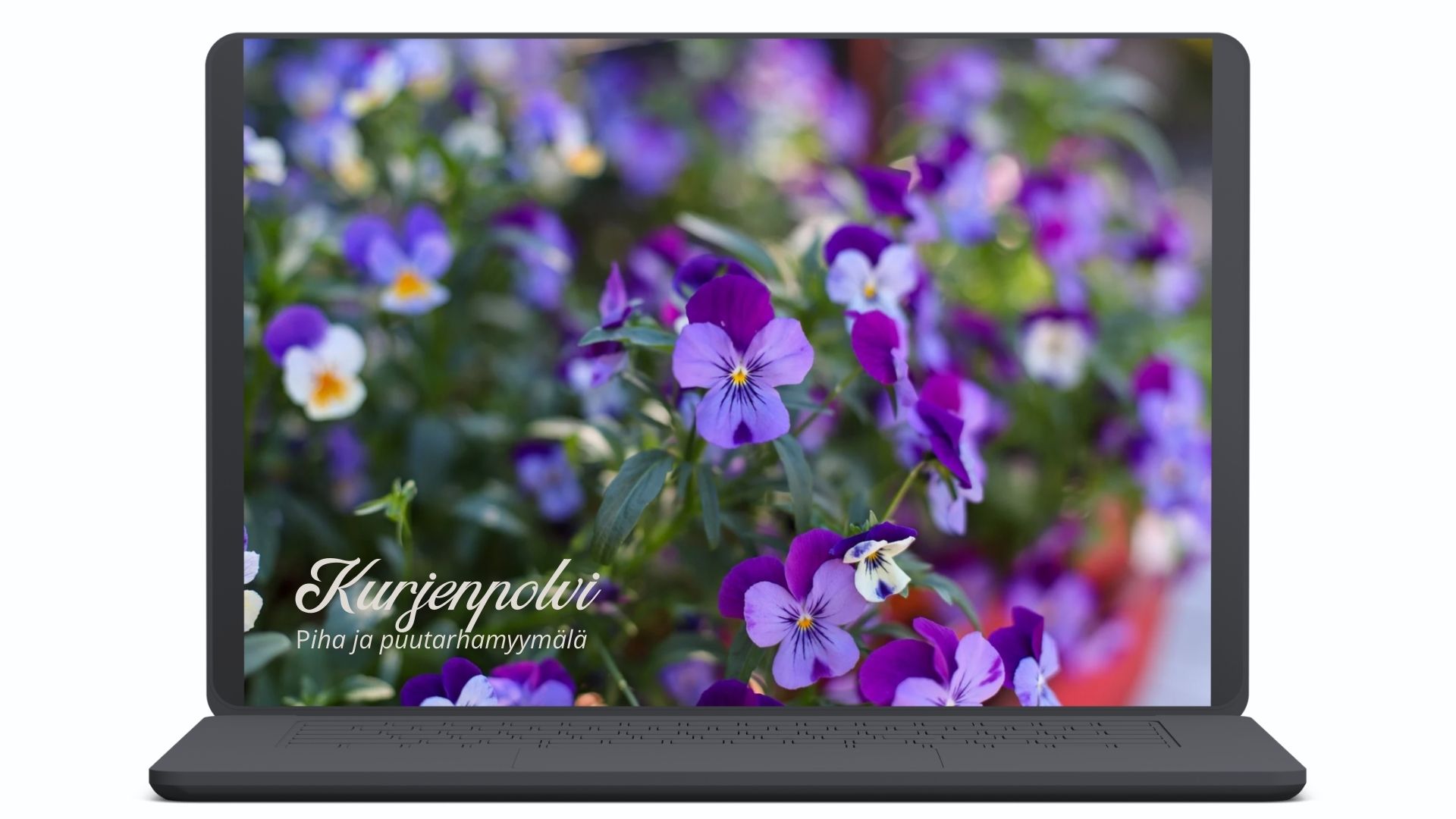 Studio-yliniemi-projekti-puutarhamyymala-hero-valkoinen Studio Yliniemi esimerkki projekti.