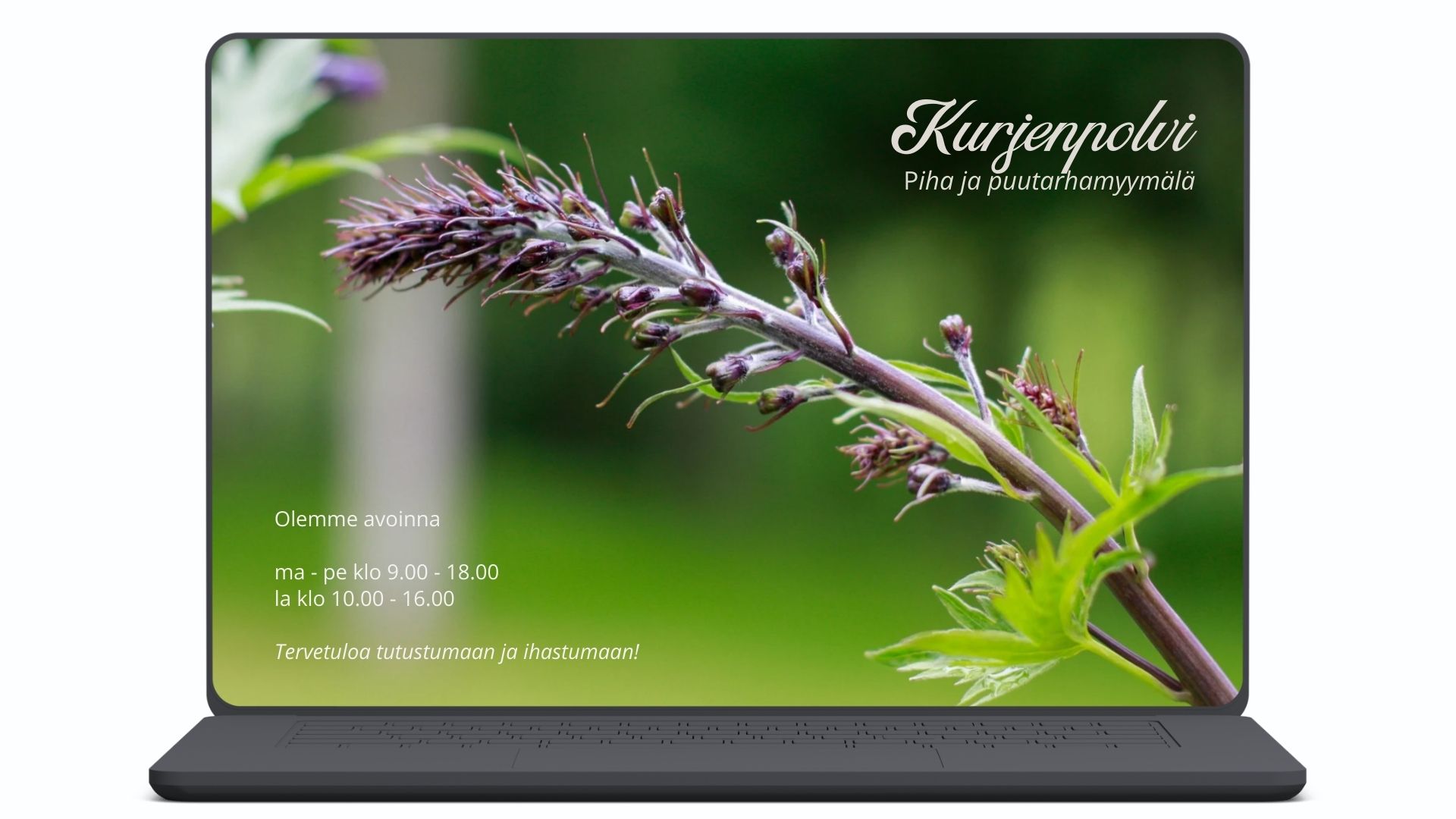 Studio-yliniemi-projekti-yhteystiedot-valkoinen Studio Yliniemi esimerkki case puutarhamyymälä.